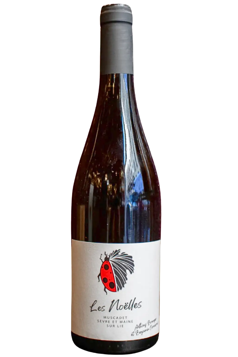 Vignoble Cormerais Muscadet Sevre et Maine Sur Lie Les Noelles