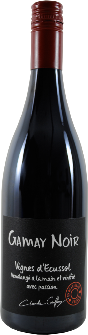 2023 Chateau de la Chaize Brouilly